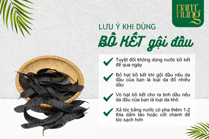 Tác Dụng Của Bồ Kết Với Tóc