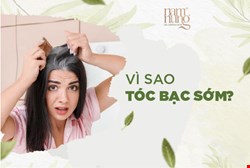 Vì Sao Tóc Bạc Sớm? Cách Trị Tóc Bạc Sớm Tại Nhà