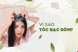 Vì Sao Tóc Bạc Sớm? Cách Trị Tóc Bạc Sớm Tại Nhà